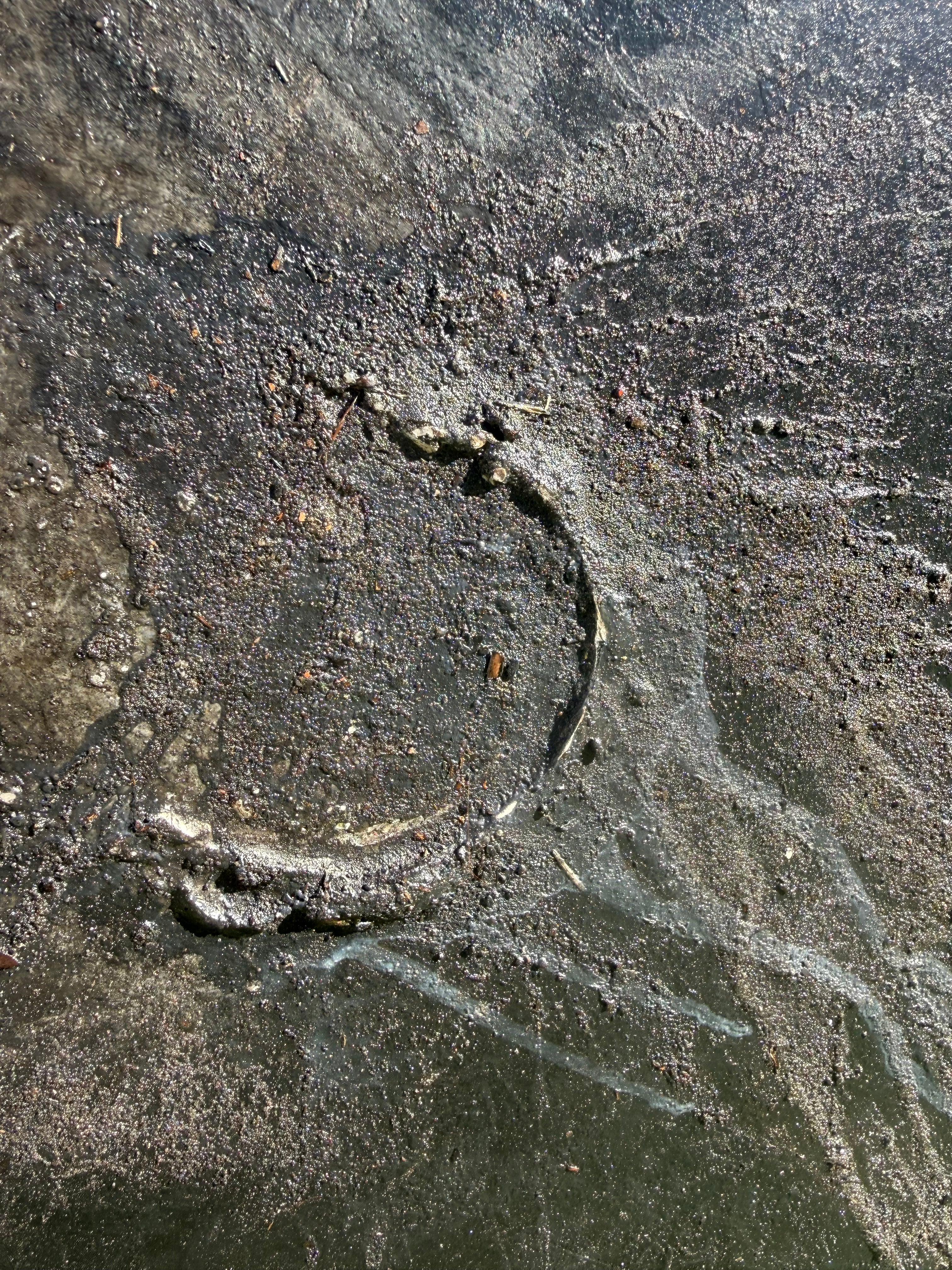 What Remains